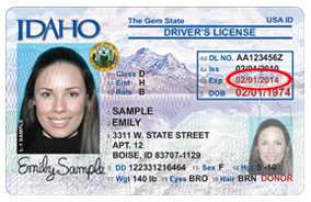 Colorado Drivers License Restriction Code V